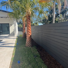 Transformational-Fence-Staining-Project-In-New-Smyrna-Beach-Florida 11